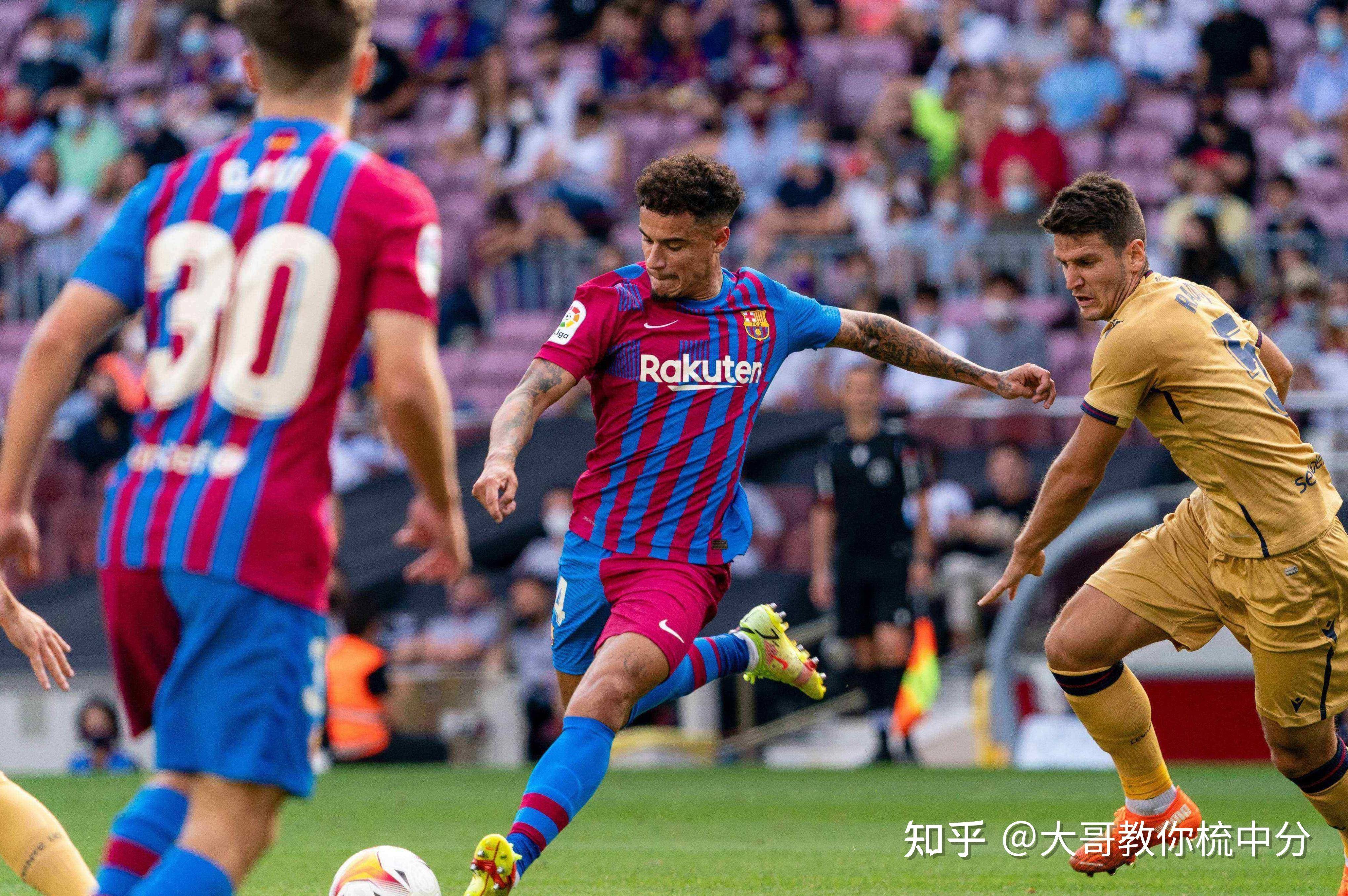 开云中国-科维托娃为什么叫科猪